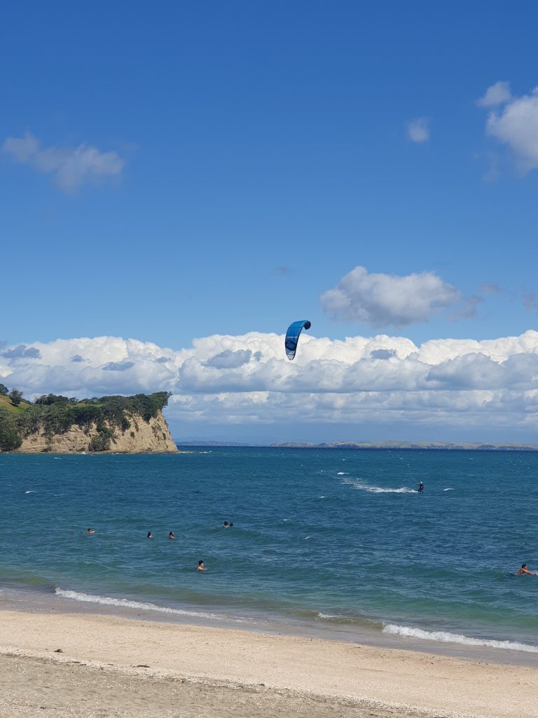things to do in auckland new zealand