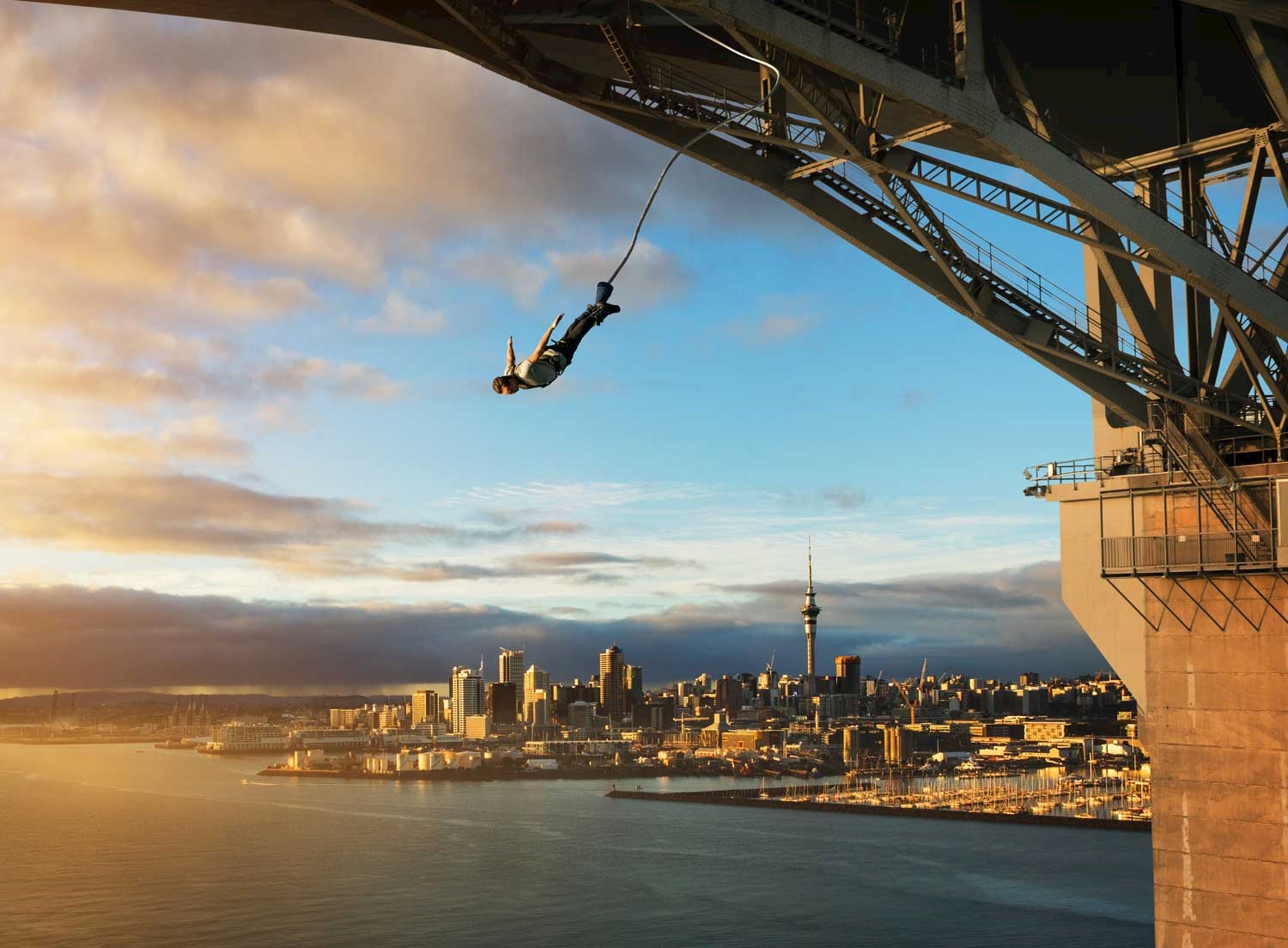 Best Auckland Hostels And Hotel Packages Backpackers Auckland
