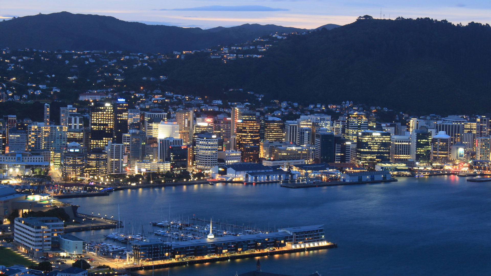 Wellington panorama