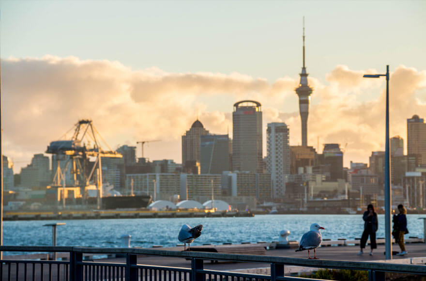 Auckland harbour