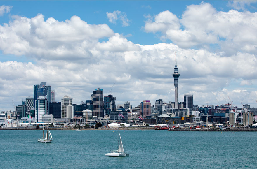 Auckland seaview panorama