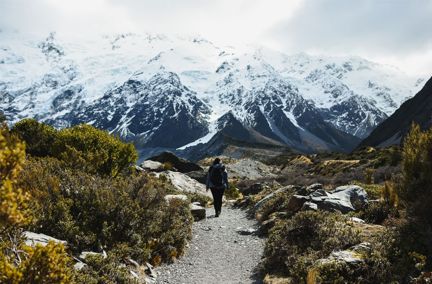 Mount Cook Walk