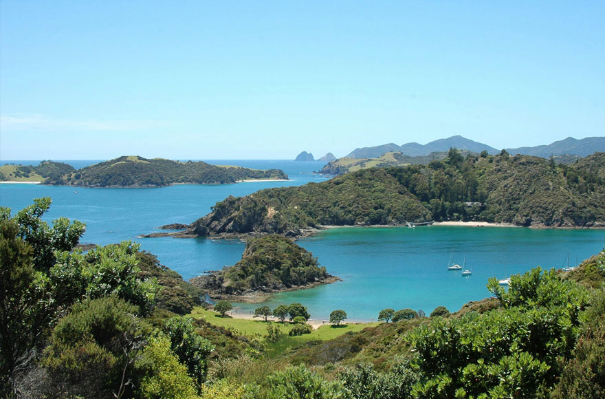 Paihia Bay of Islands