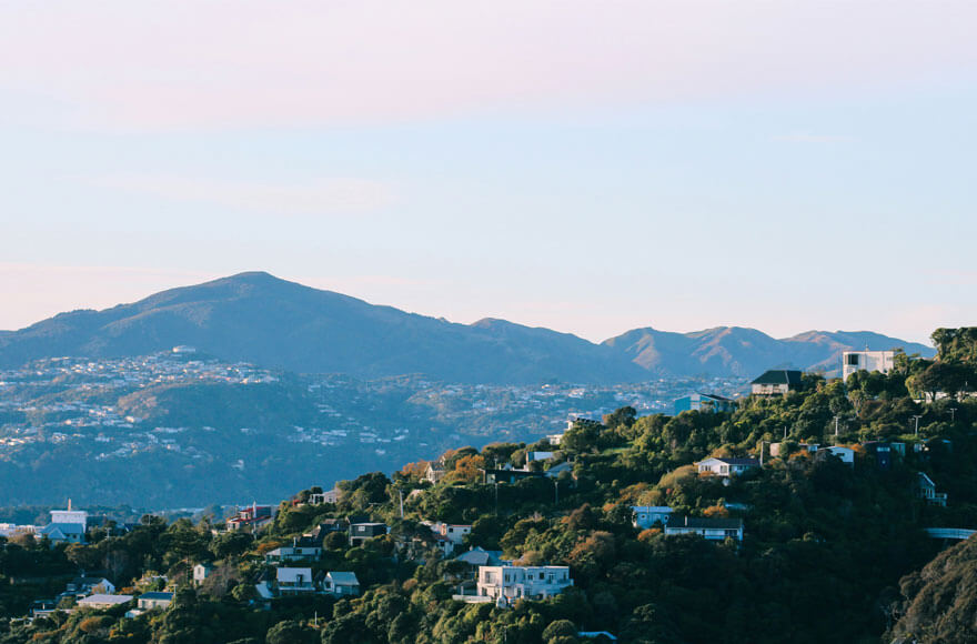 Wellington panorama