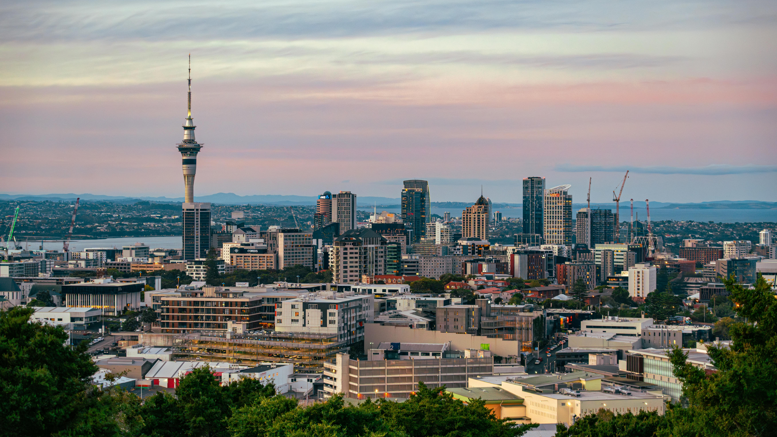 Auckland City