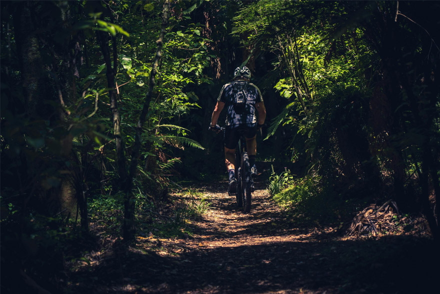 mountain bike trips