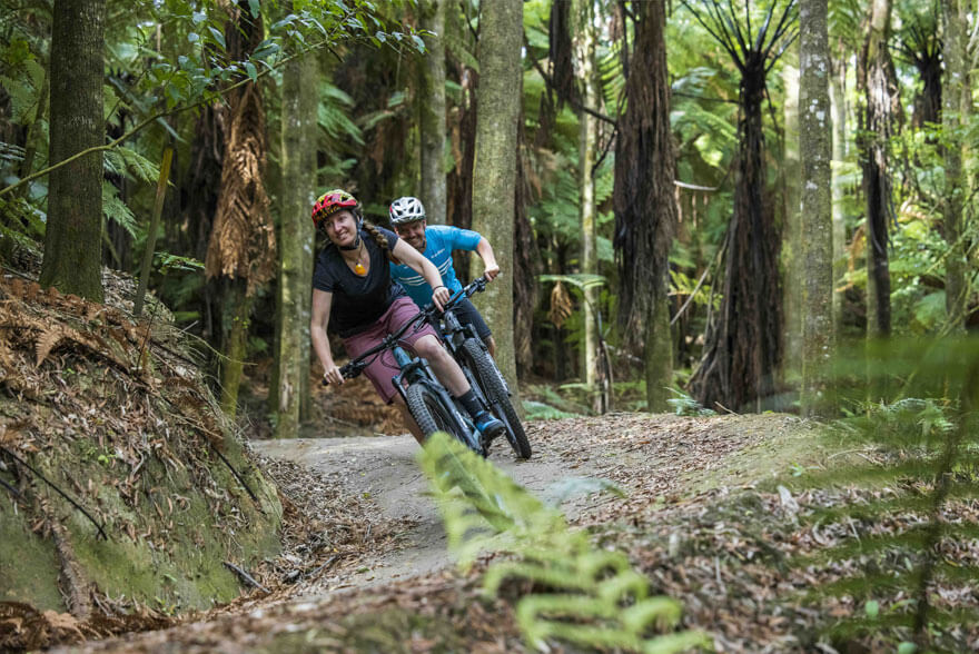 Couple mountain biking on a trail in Whakarewarewa Forest.