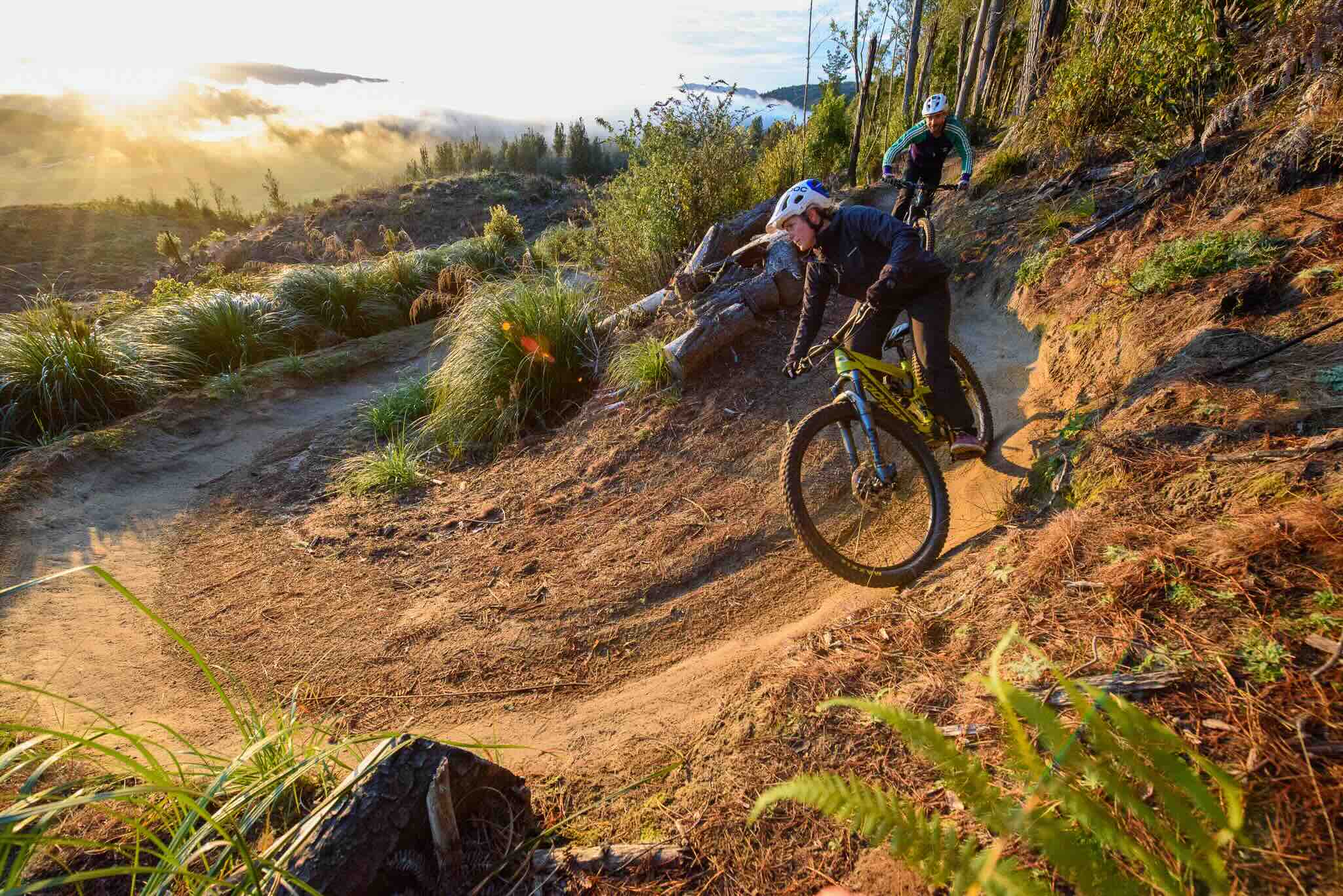 Rotorua bike trails
