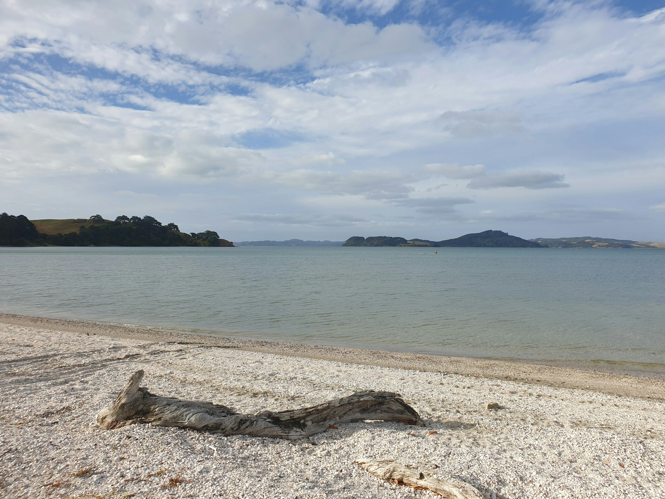 Beach in Auckland New Zealand