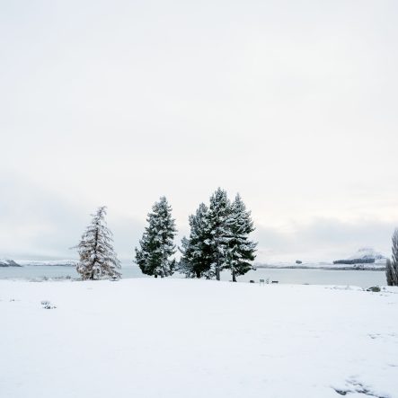 Late winter in New Zealand