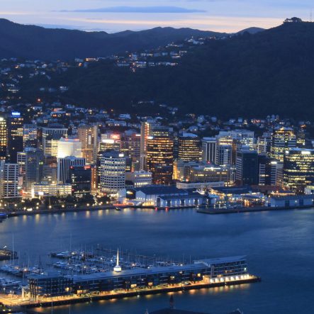 Wellington panorama