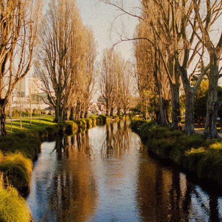 Christchurch