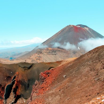 Reasons to visit New Zealand in Autumn