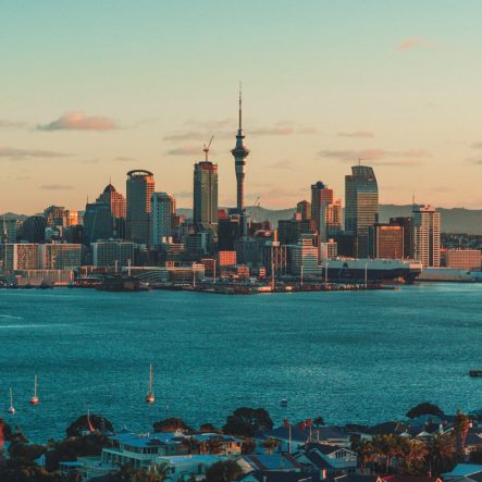 Auckland City