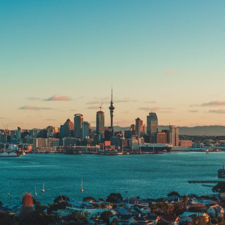 auckland city skyline